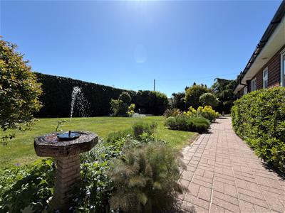 Picture 25